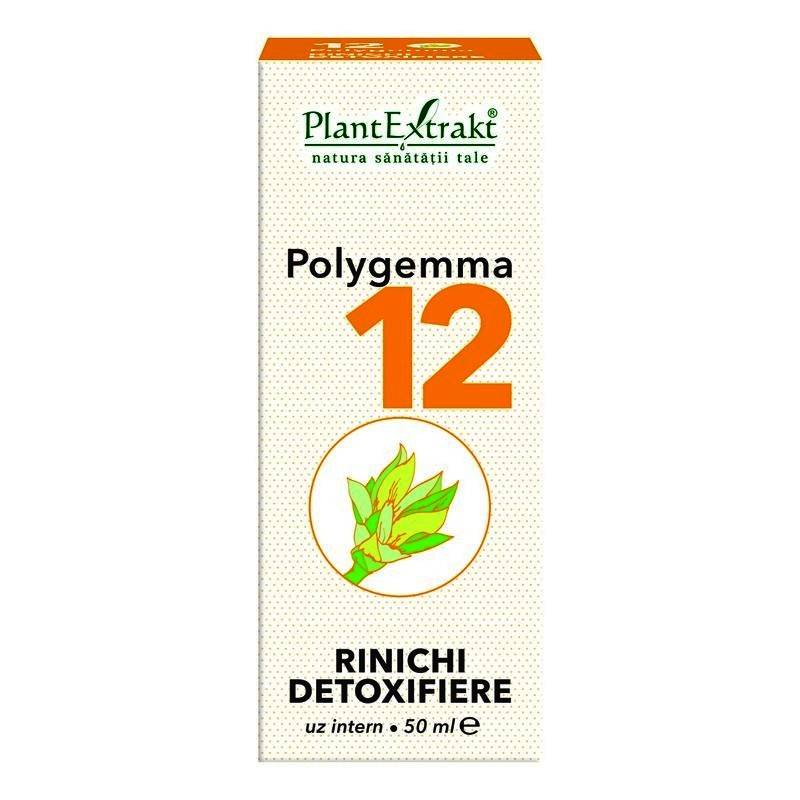 Polygemma 12 - Rinichi detoxifiere 50ml Plantextrakt - poza 2