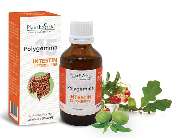 Polygemma 15 - Intestin detoxifiere 50ml Plantextrakt - poza 1