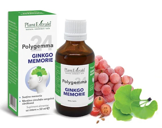 Polygemma 24 Ginkgo Memorie, 50 ml, Plant Extrakt