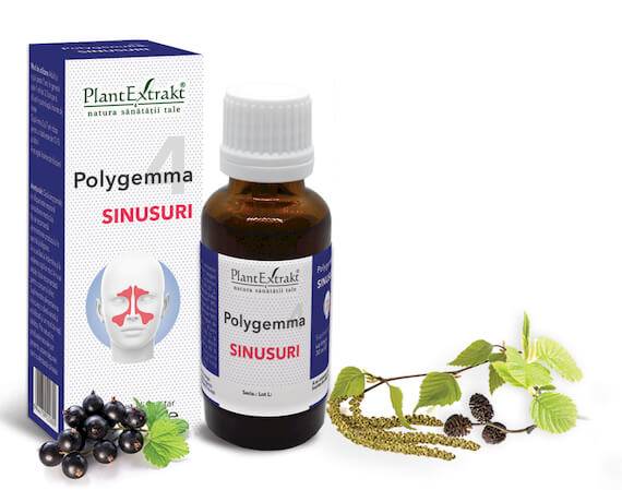 Polygemma 4 - Sinusuri 30ml Plantextrakt - poza 1