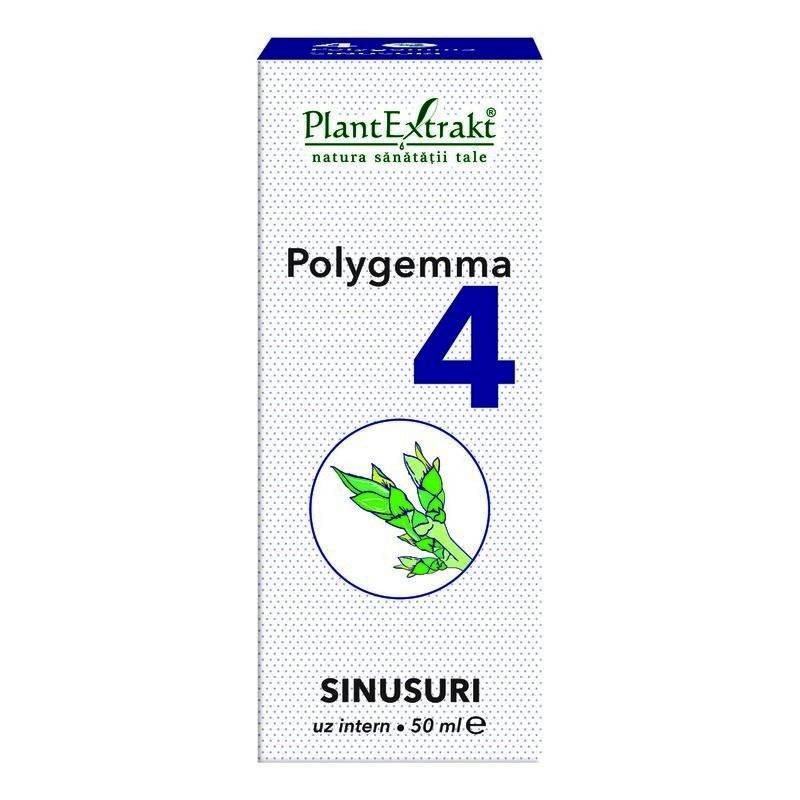 Polygemma 4 - Sinusuri 30ml Plantextrakt - poza 2