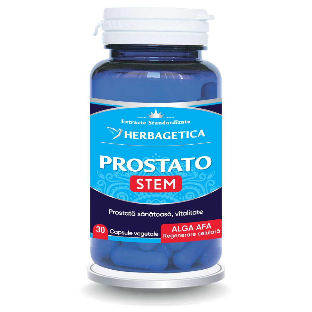 Prostato Stem