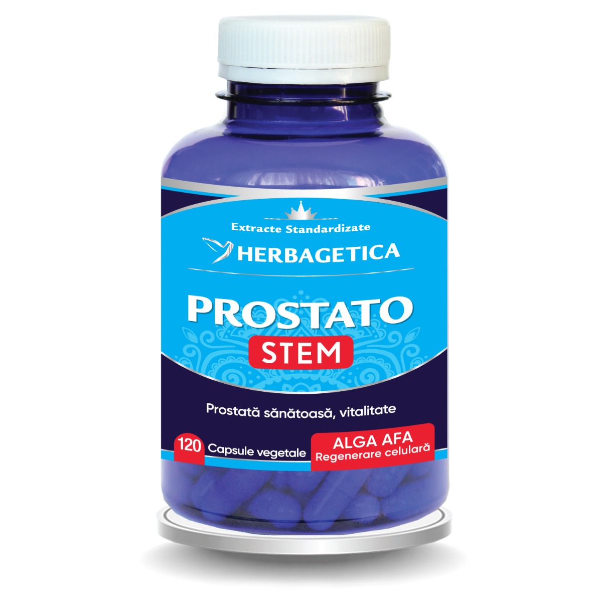 Prostato Stem