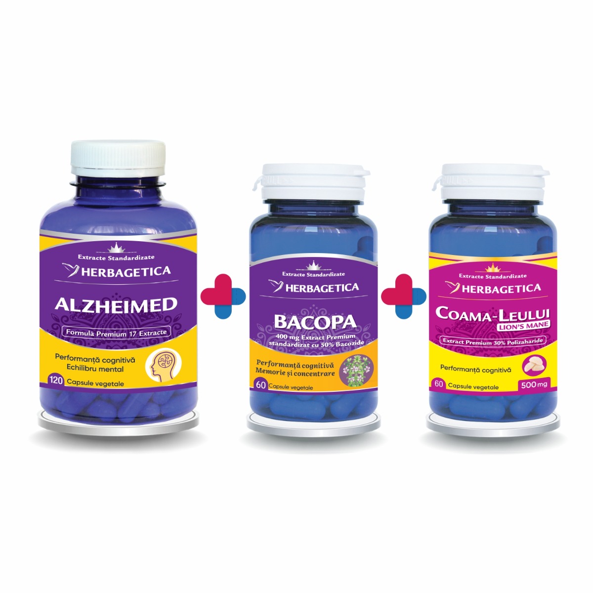 PROTOCOL ALZHEIMER