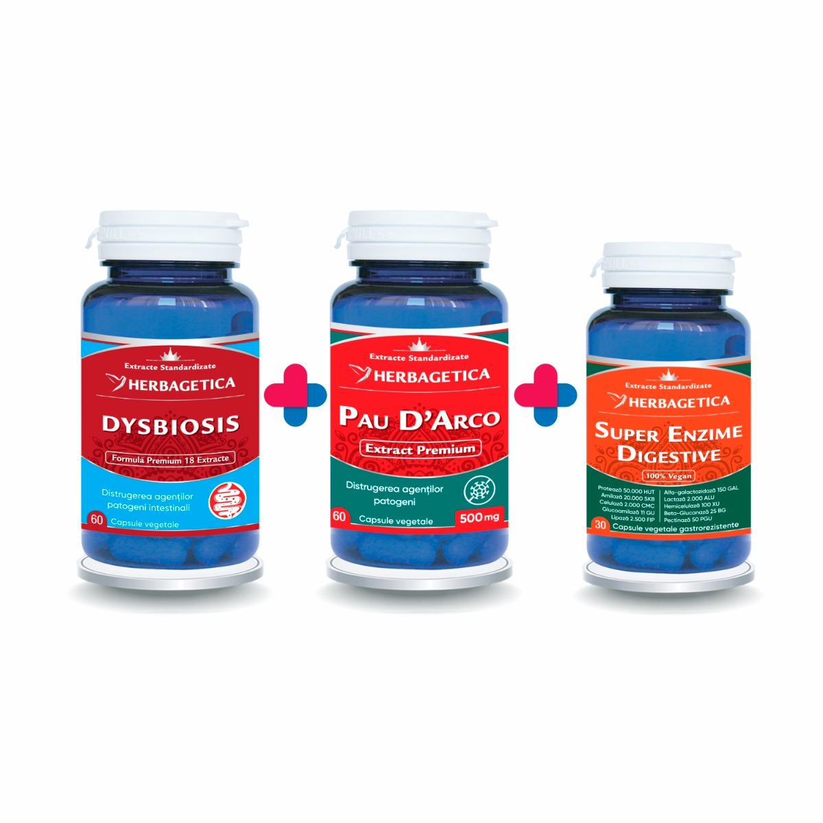 PROTOCOL DISBIOZA