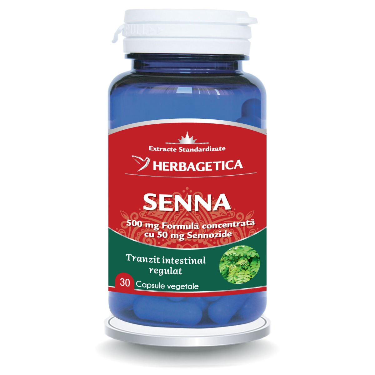 Senna