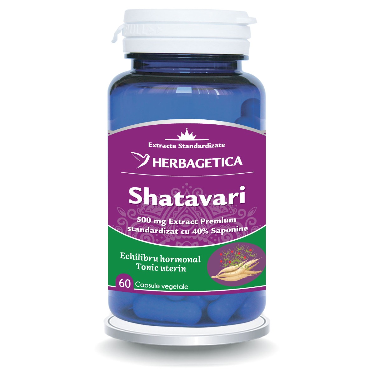 Shatavari