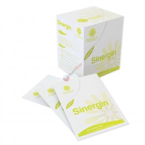 SINERGIN