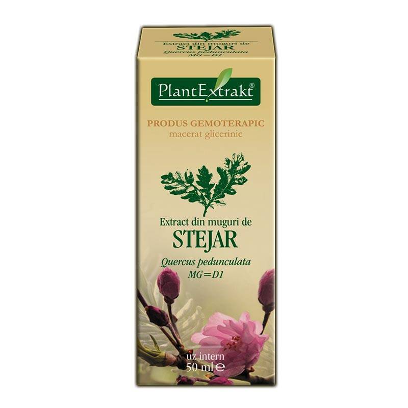 STEJAR - muguri - gemoderivat - 50ml - PlantExtrakt - poza 2