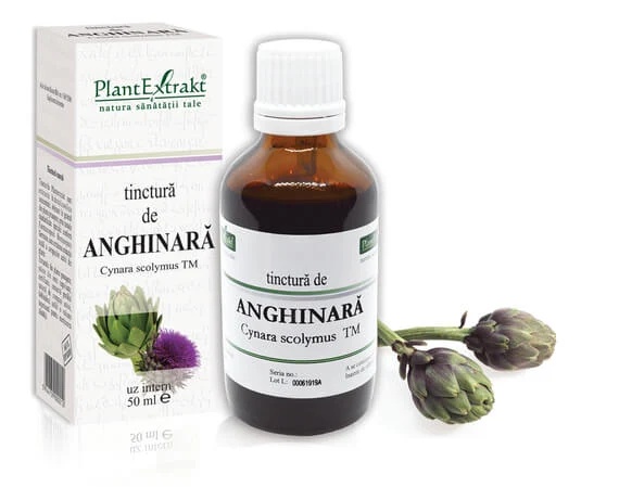 Tinctura Anghinara x 50ml (PLX)