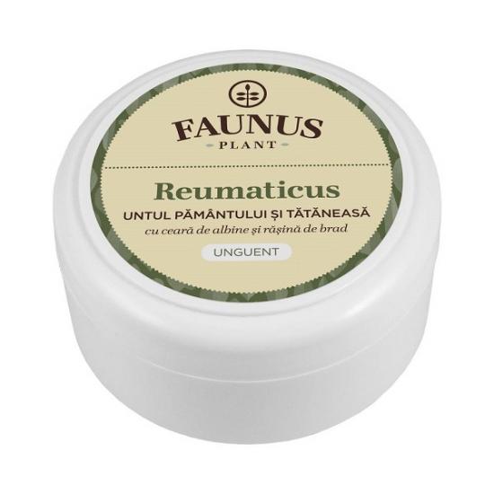 Unguent pentru dureri reumatice Reumaticus, 100ml, Faunus Plant