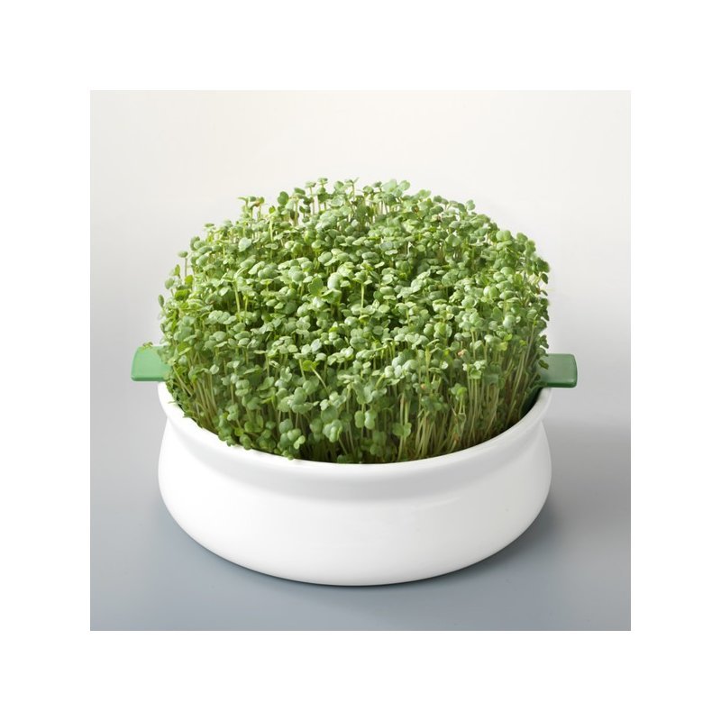 Vas de ceramica cu sita pentru germinare seminte mucilaginoase Germline