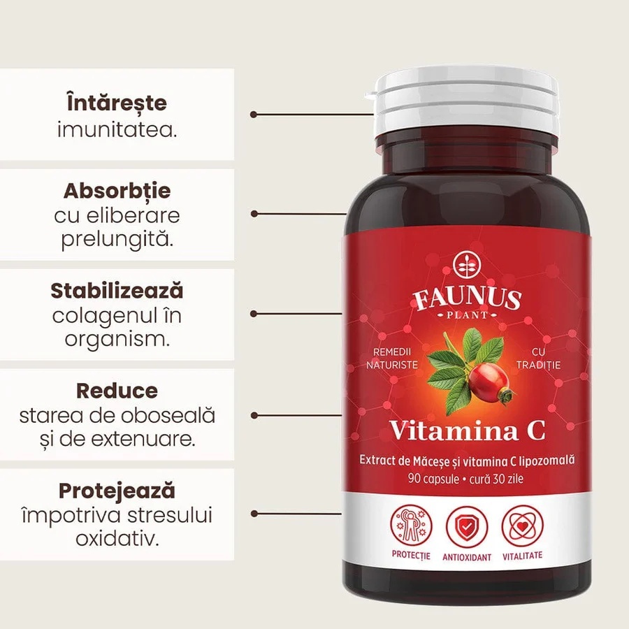 Vitamina C lipozomală cu măceșe - Concentrație mare de vitamina C pentru imunitate, absorbție fier și producerea de colagen - 90 Capsule - poza 3