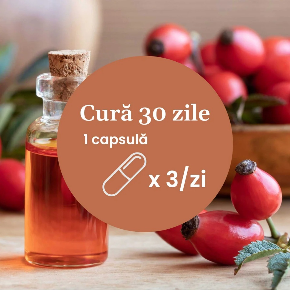 Vitamina C lipozomală cu măceșe - Concentrație mare de vitamina C pentru imunitate, absorbție fier și producerea de colagen - 90 Capsule - poza 4