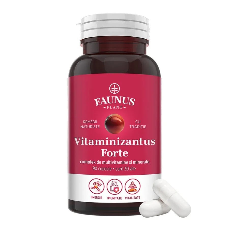 Vitaminizantus Forte - Capsule cu multivitamine și minerale de calitate. Echilibru, energie și vitalitate pentru o viață activă și solicitantă. Flacon 90 capsule - poza 1