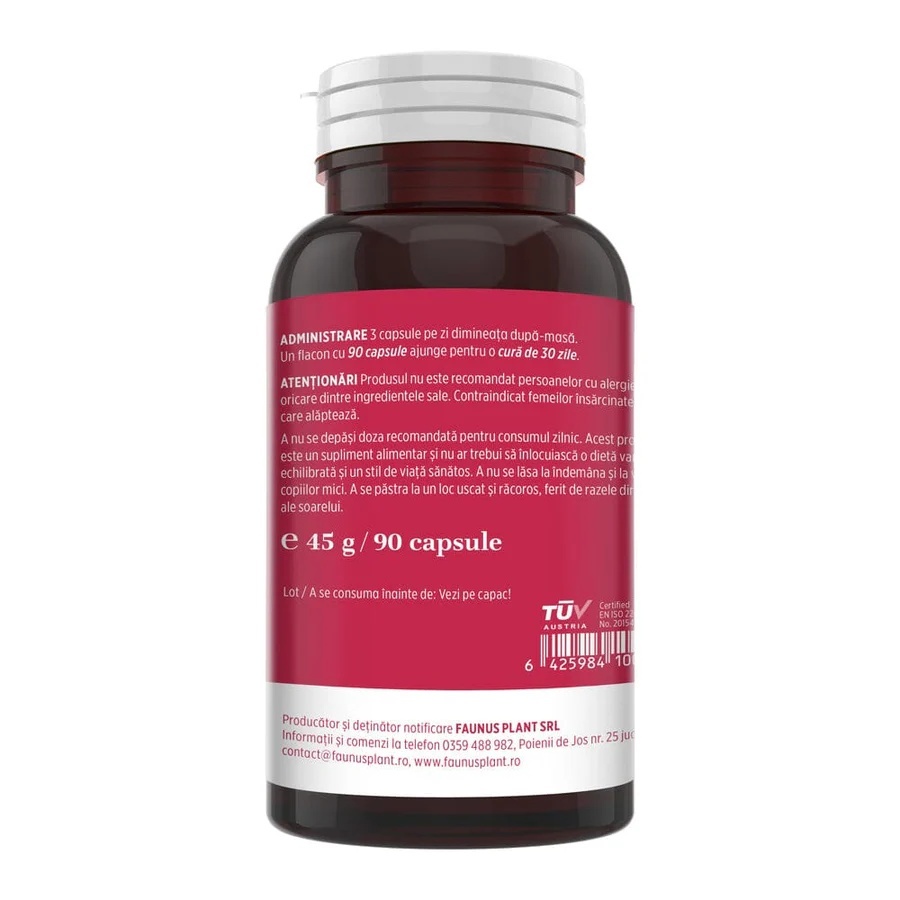 Vitaminizantus Forte - Capsule cu multivitamine și minerale de calitate. Echilibru, energie și vitalitate pentru o viață activă și solicitantă. Flacon 90 capsule - poza 2