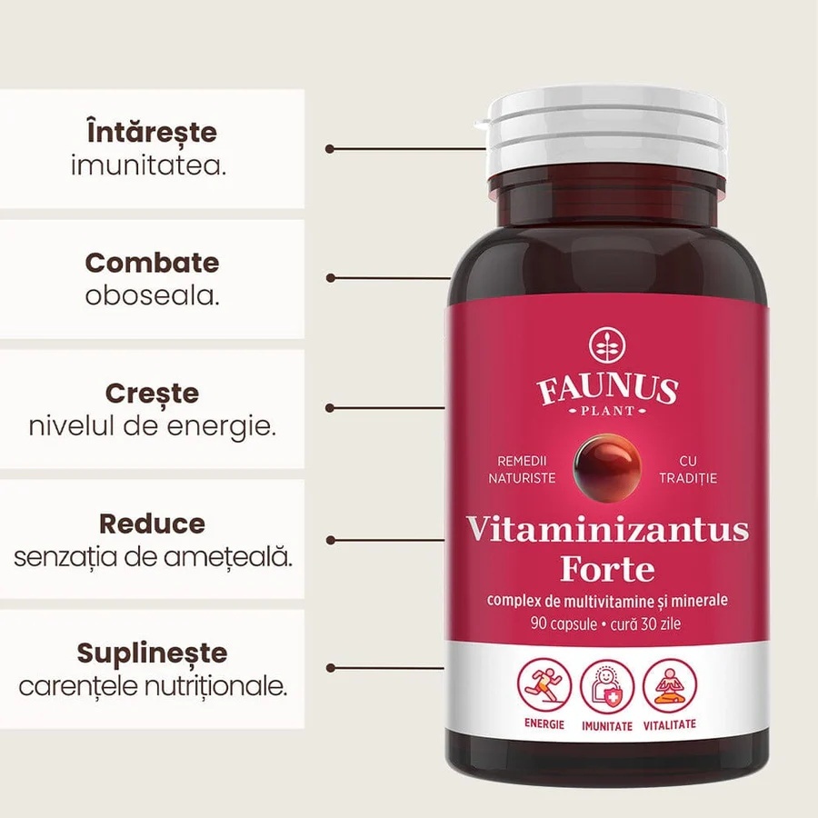 Vitaminizantus Forte - Capsule cu multivitamine și minerale de calitate. Echilibru, energie și vitalitate pentru o viață activă și solicitantă. Flacon 90 capsule - poza 3